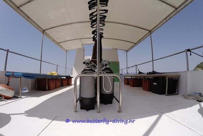 Diving day tour with 2 dives - Who Will Love This Tour?