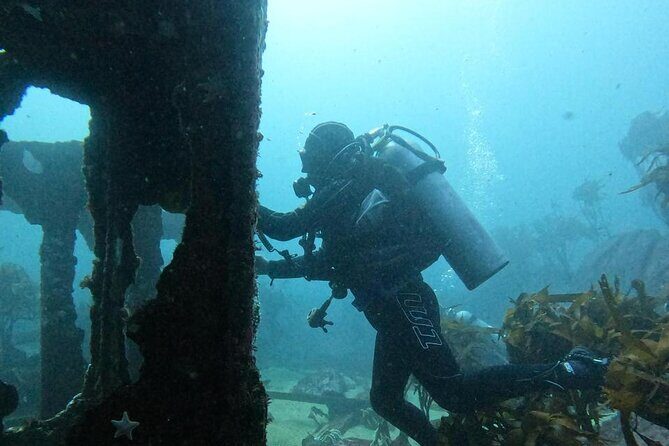 Diving excursion in Quintay - The logistics and practicalities