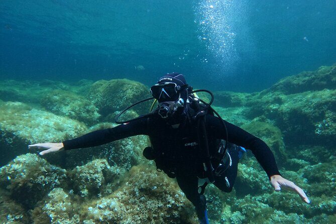 Diving experience in Malta - Who Should Consider This Tour?