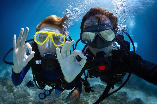 Diving experience in Polignano a Mare with certification - Key Points