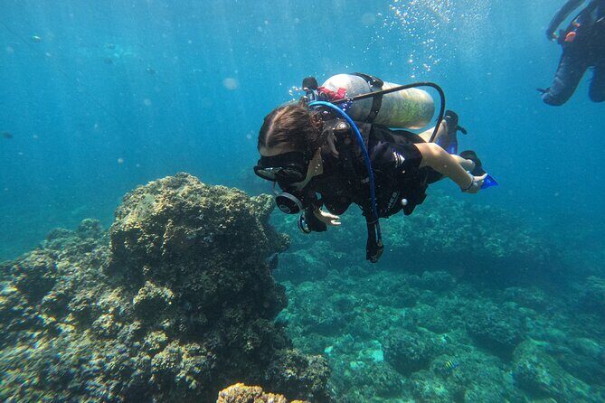 Diving exploration for beginners in Los Arcos de Mismaloya - Key Points