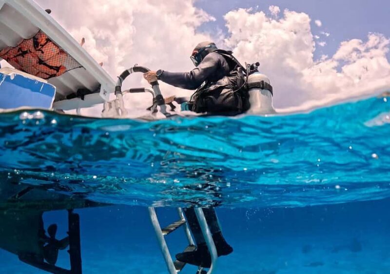 Diving for Beginners in Cozumel: Your First VIP Experience - Key Points
