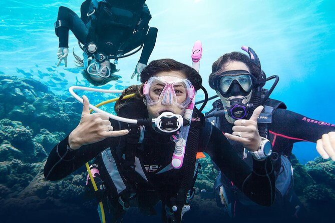 Diving for Certified Divers, 2 Tanks Sosúa Bay - Why This Tour Offers Great Value