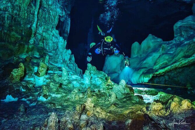 Diving in Cenotes: discovering the Mayan Underworld - The Itinerary: What to Expect on Your Day of Adventure