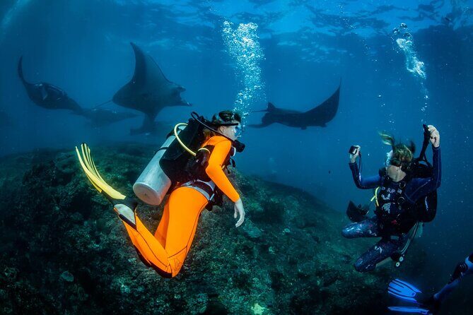 Diving in Nusa Penida - Quick Overview: What This Experience Offers