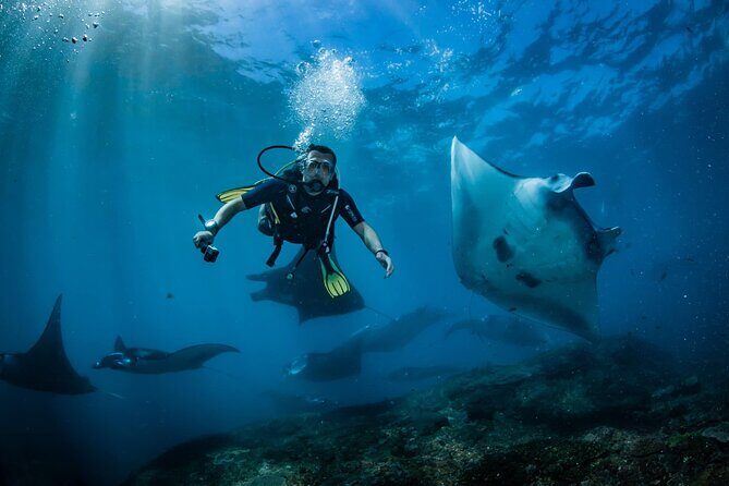 Diving in Nusa Penida - Who Will Love This Tour?