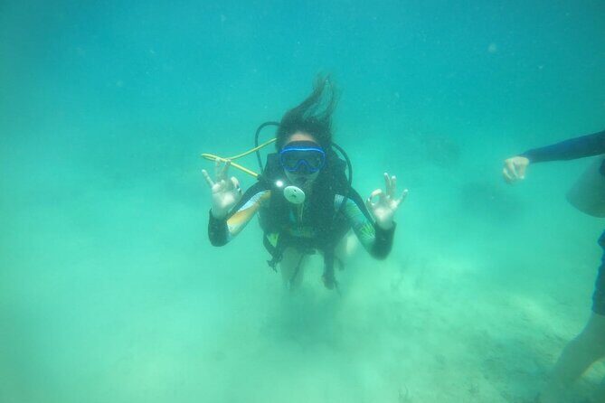 Diving in Playa Blanca Barú with Lunch - Cartagena Colombia - The Sum Up: Who Will Enjoy This Tour?