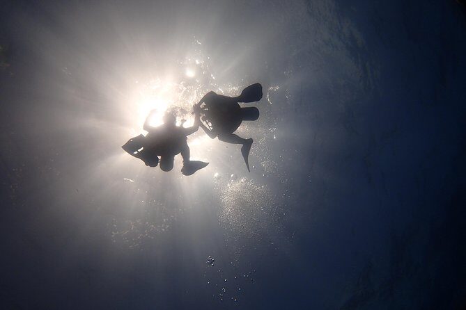 Diving in the Mexican Caribbean for Beginners | 2 Tanks 2 Dives | All Inclusive - The Sum Up: Who Should Book?