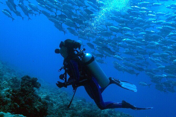 Diving initiation - A Closer Look at the Experience