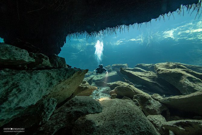 Diving package Cenotes exploration - Authentic Experiences and Real Traveler Insights