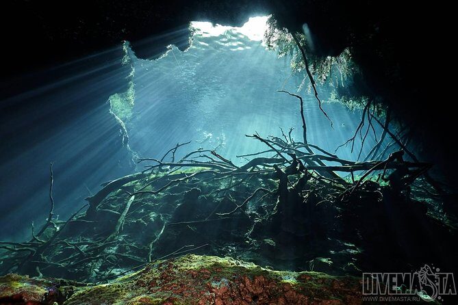Diving package Cenotes exploration - Who Would Love This Tour?