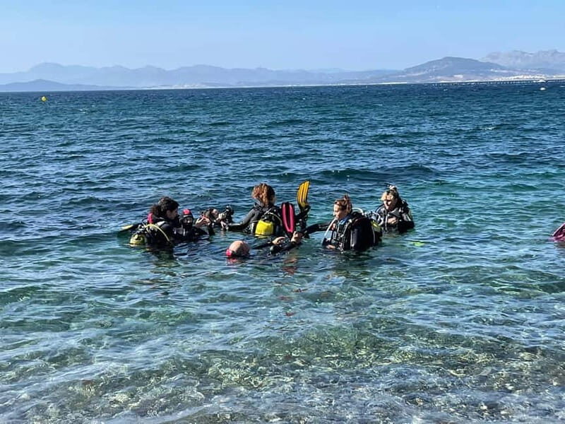 Diving - Why This Tour Offers Excellent Value