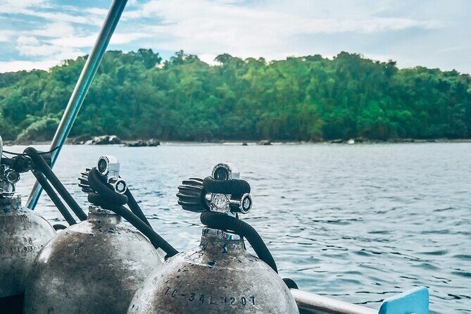 Diving tour in Isla del Caño for certified divers - Key Points