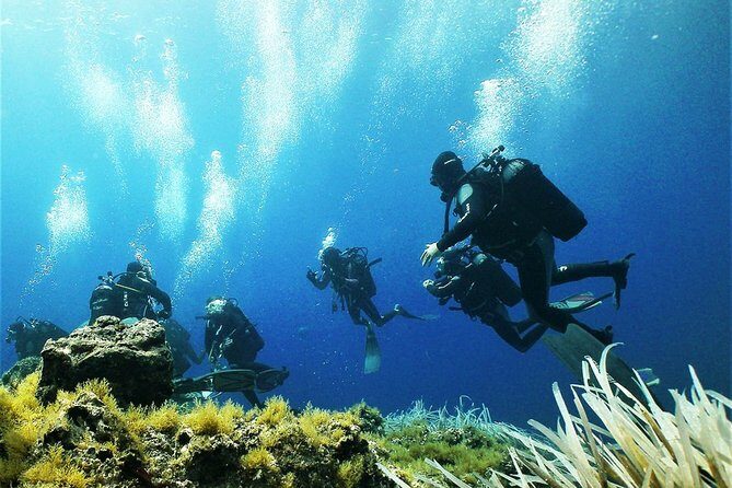 Diving with PADI 5 Star CDC Diving Resort Isola Bella Marine Park Taormina - Final Thoughts