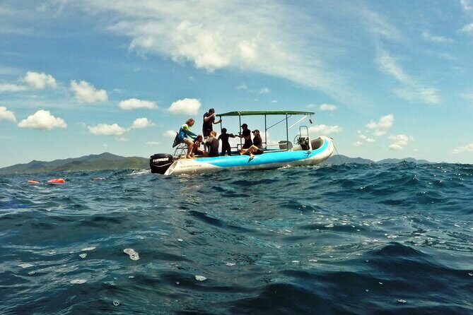 Diving with Turtles in Floripa - Why It Works for Different Travelers