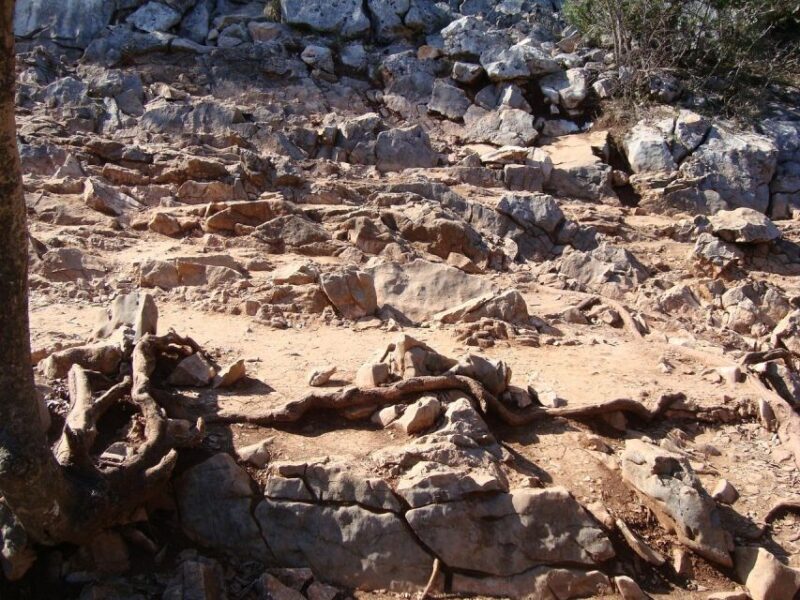 Divinity Day Trip: Dubrovnik to Medjugorje Wonders - The Value Proposition