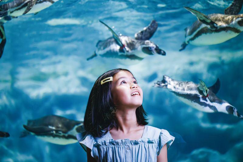 DMM Kariyushi Aquarium Ticket in Okinawa - DMM Kariyushi Aquarium at a glance