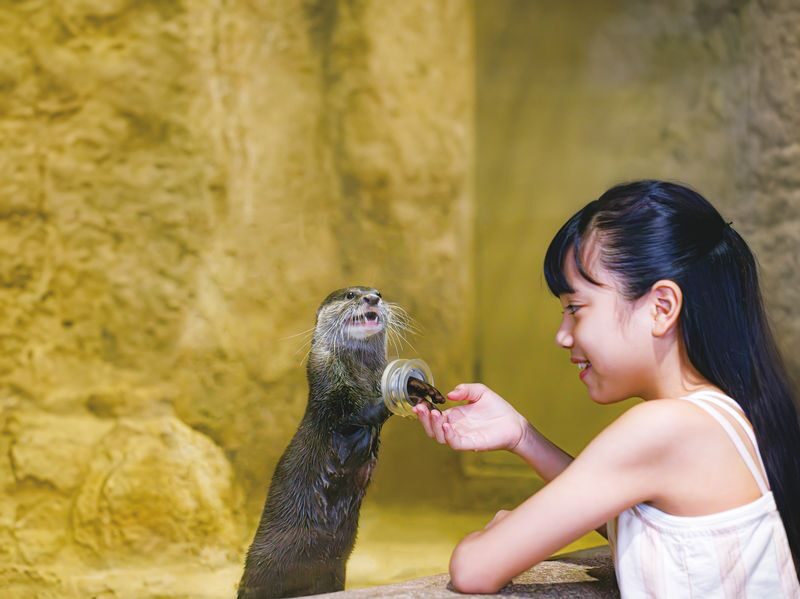 DMM Kariyushi Aquarium Ticket in Okinawa - Give yourself one to three hours
