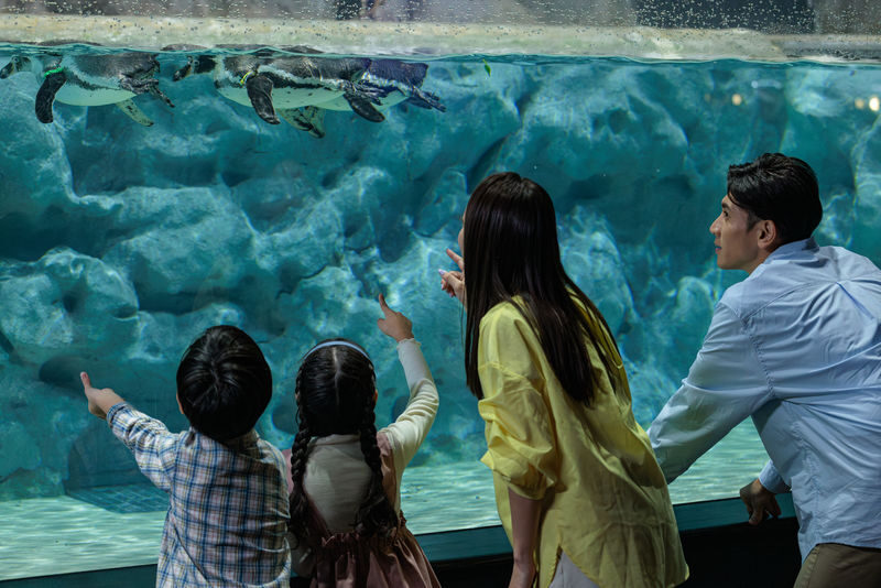 DMM Kariyushi Aquarium Ticket in Okinawa - Plan around feeding times and opening hours