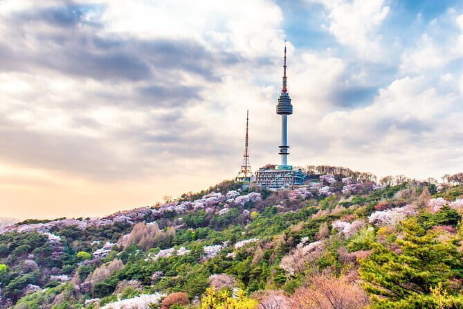 DMZ 2nd Tunnel with Suspension Bridge - Who Will Love This Tour?
