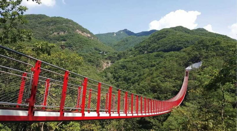 DMZ (3rd Tunnel)+Suspension Bridge Guided Private Tour - Who Should Consider This Tour?