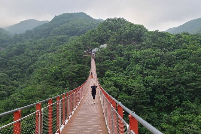DMZ Private tour & Suspension Bridge - Key Points