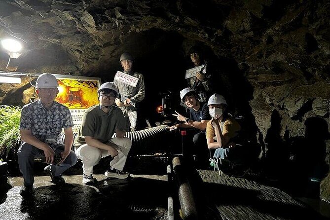 DMZ Tour: 2nd Tunnel with Y-shaped suspension bridge from Seoul - Potential Drawbacks and Considerations