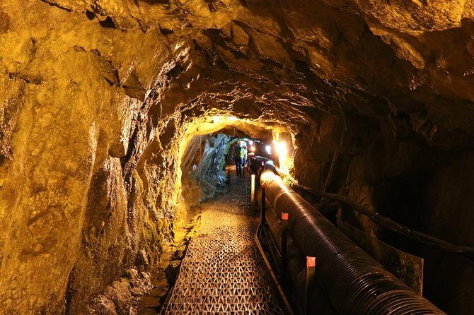 DMZ Tour: 3rd Tunnel, Option(Suspension Bridge, Boat) from Seoul - Introduction: What to Expect from the DMZ Tour