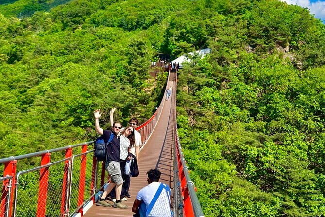 DMZ tour from Seoul and War Memorial of Korea Day Tour - Authentic Experiences and Reviews