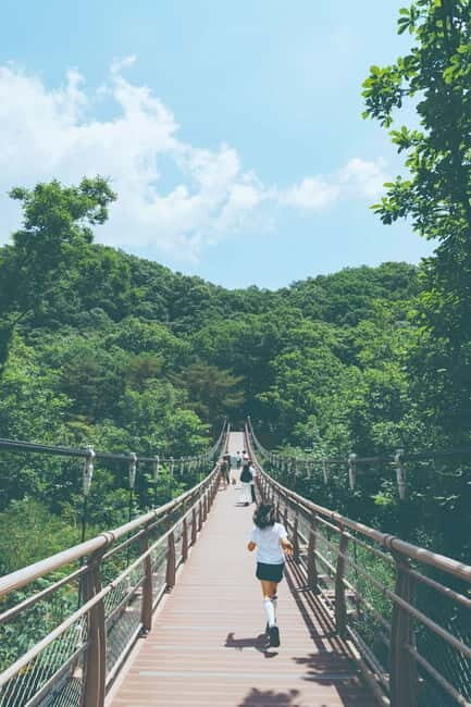 DMZTour from Seoul:3rd Tunnel,North Korea View&UNESCO Valley - FAQs