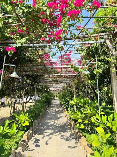 Doc Lech Beach & Ozphanage Mo Doc Tinh Glamping & Retreat - Key Points