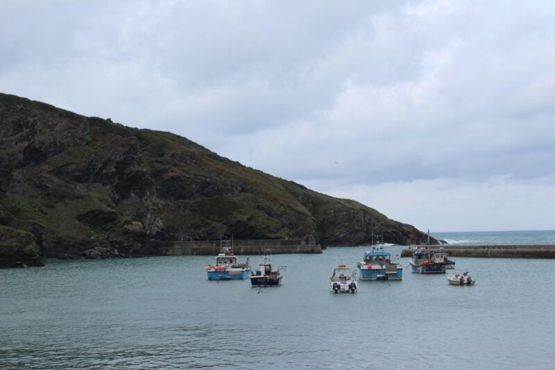 Doc Martin Tour - Discover Port Isaac and the World of Doc Martin