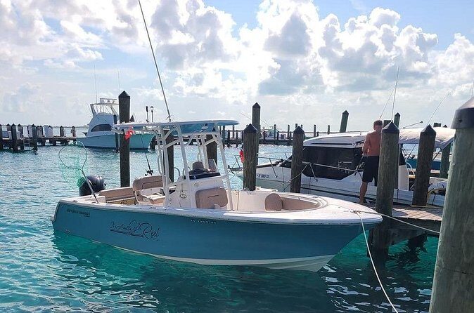 Dock Hop Cruise in Sarasota - Who Will Love This Tour?