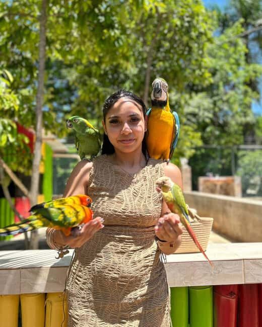 Doctor's Cave Beach, Canabis and Bird Farm Private Tour - A Closer Look at the Tour Experience