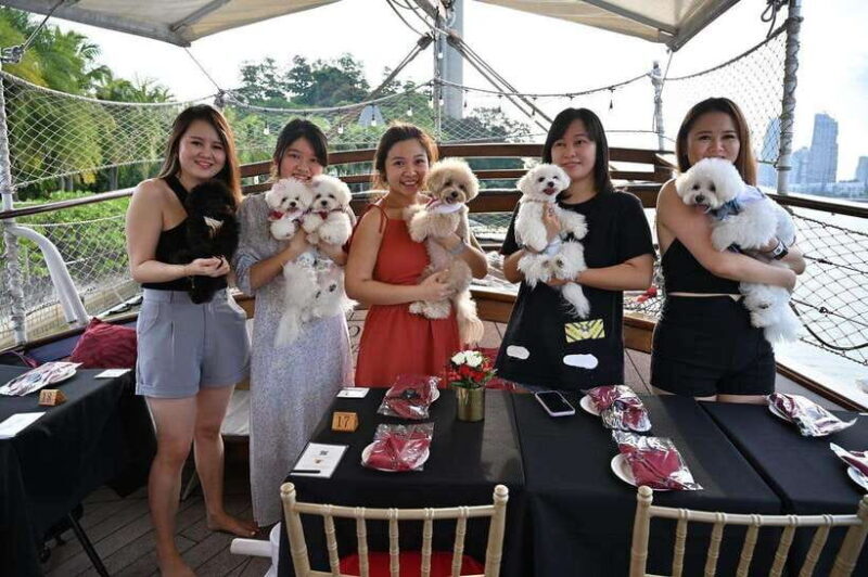 Dog Cruise onboard a Tall Ship with 4 Course Meal - An In-Depth Look at the Tall Ship Dog Cruise Experience