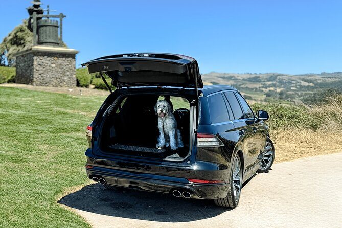 Dog Friendly Wine Tour in Private Luxury SUV - Why This Tour Offers Good Value