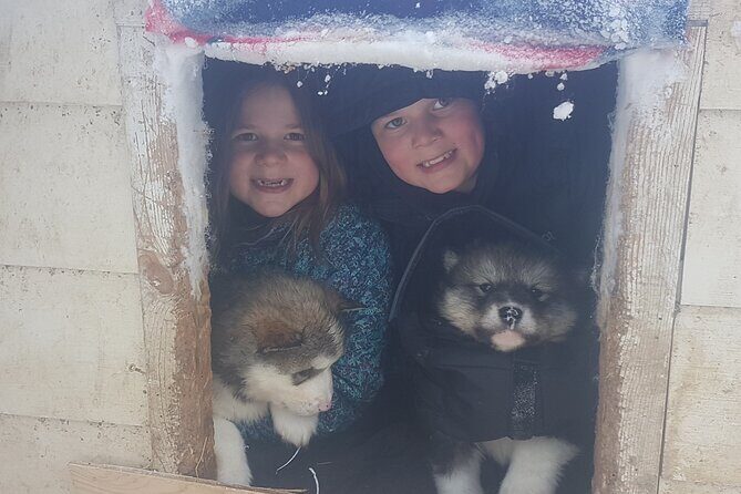 Dog Sled Adventure - Final Thoughts: Is This the Right Tour for You?