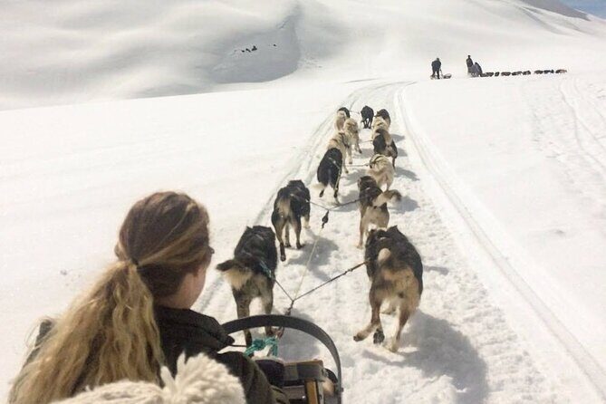 Dog Sledding and Animal Encounters Tour from Anchorage - What You Get for the Price