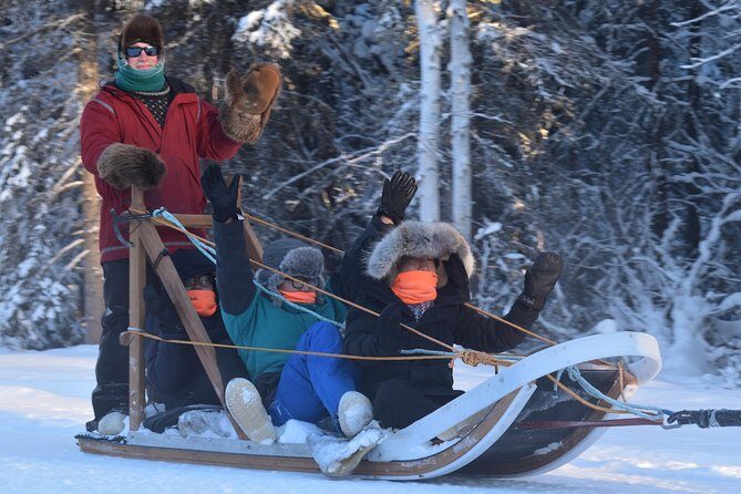 Dog Sledding and Mushing Experience in North Pole - The Authenticity and Quality of the Tour