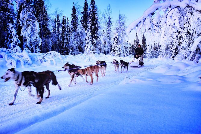 Dog Sledding and Mushing Experience in North Pole - FAQ