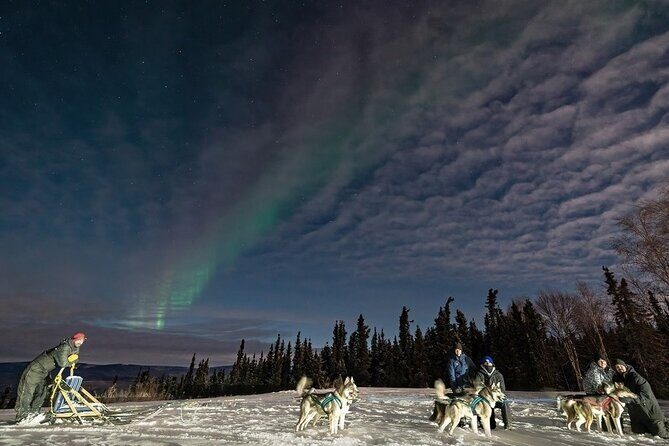 Dog Sledding and Northern Lights Combo Night - Key Points