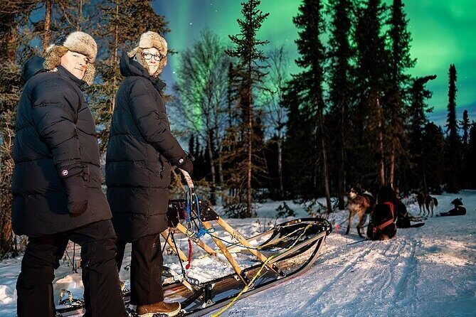 Dog Sledding and Northern Lights Combo Night - An Extensive Review of the Dog Sledding and Northern Lights Combo Night