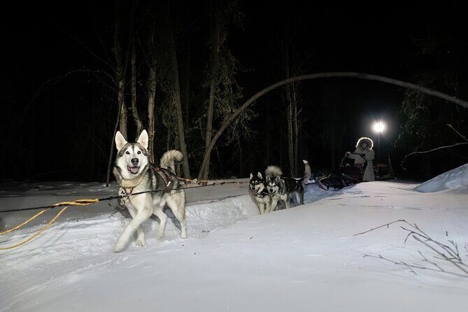 Dog Sledding and Northern Lights Combo Night - Final Thoughts