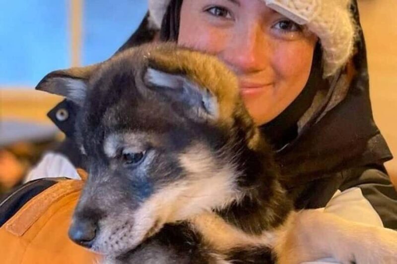 Dog Sledding & Animal Adventures  Anchorage Pickup - Final Thoughts: Who Will Love This Tour?