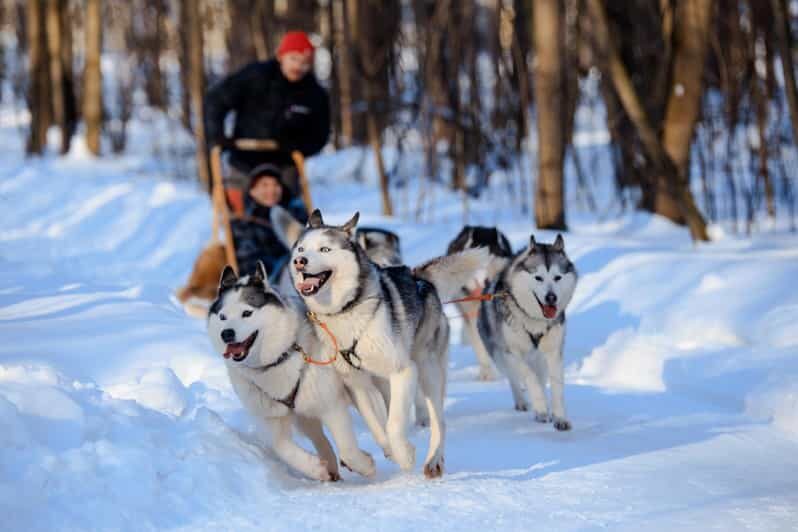 Dog Sledding , Terelj National park ,Chinggis Khaan statue - The Sum Up: Who Is This Tour Best For?