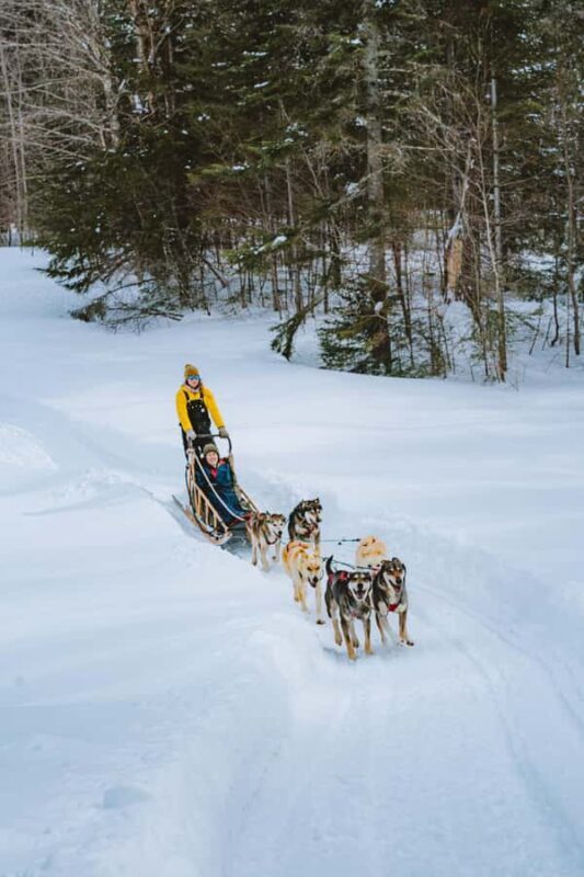 Dogsledding Upper Laurentians near Mont-Tremblant - The Itinerary in Detail