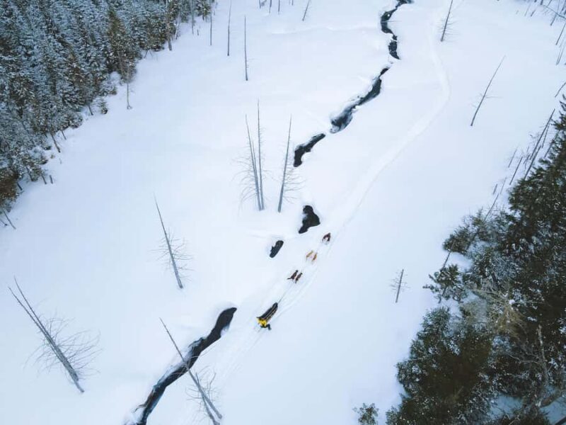 Dogsledding Upper Laurentians near Mont-Tremblant - FAQ