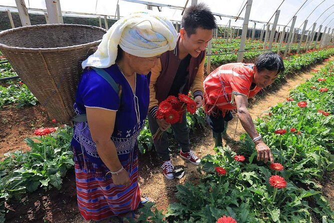 Doi Inthanon Day Trip from Chiang Mai including Karen Hill Tribe & Twin Pagodas - A Close Look at the Doi Inthanon Day Trip