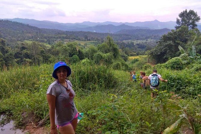 Doi Inthanon Day Trip:Twin Pagodas,Soft Hiking,Coffee Plantation - Final Thoughts: Is This Tour Worth It?