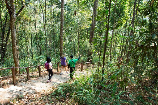 Doi Inthanon National Park Eco-Friendly Full Day Tour - FAQ about the Doi Inthanon National Park Eco-Friendly Full Day Tour